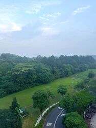 Blk 253 Bangkit Road (Bukit Panjang), HDB 5 Rooms #626443381